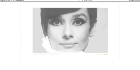 audrey-bag-site